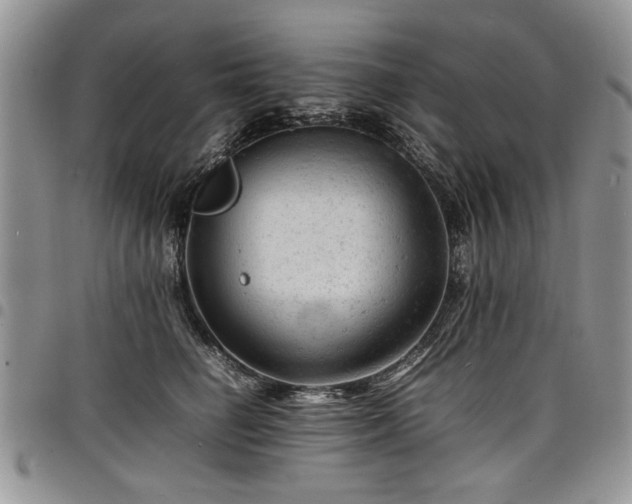 X0000098160662200804171601