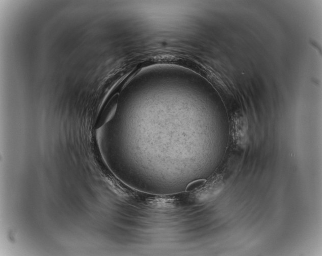 X0000098160664200804171601
