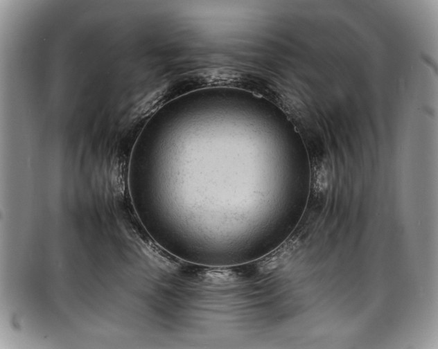 X0000098160666200804171601