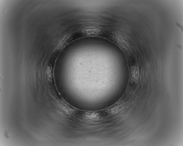 X0000098160667200804171601