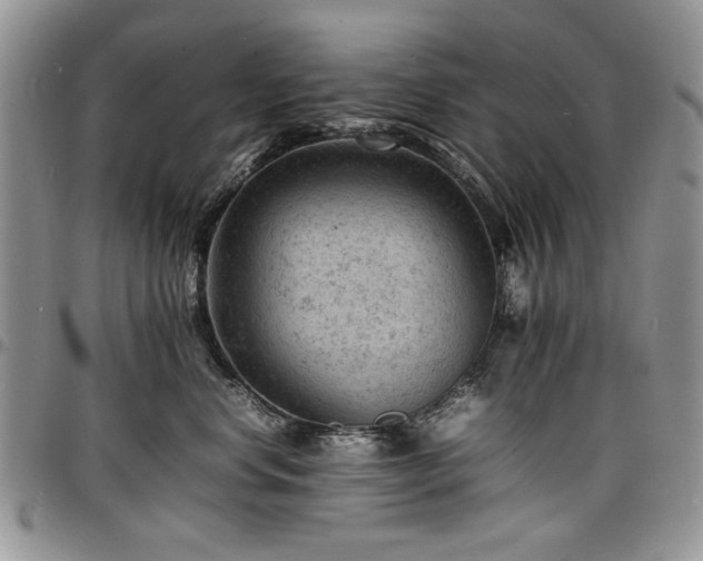 X0000098160668200804171601