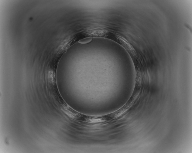 X0000098160669200804171601