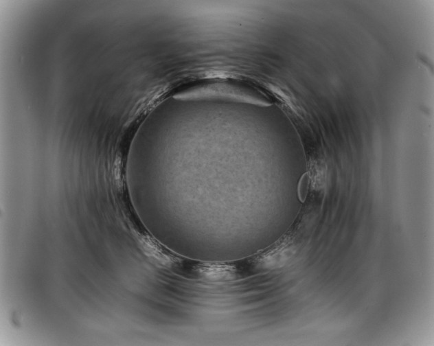 X0000098160670200804171601