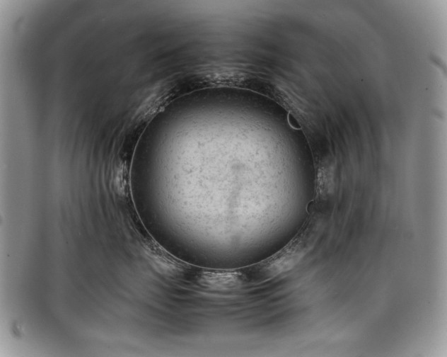 X0000098160671200804171601