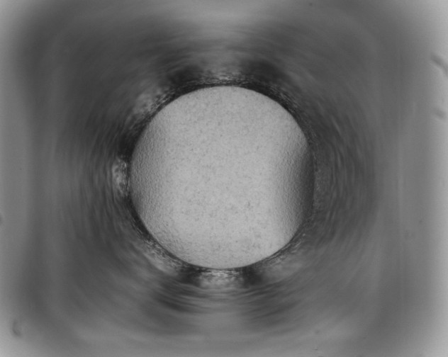 X0000098160672200804171601