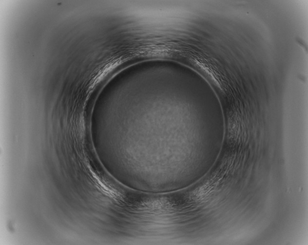 X0000098160674200804171600