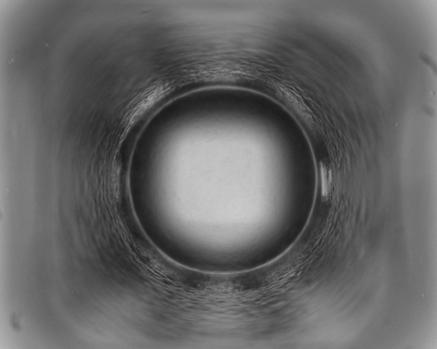 X0000098160675200804171600