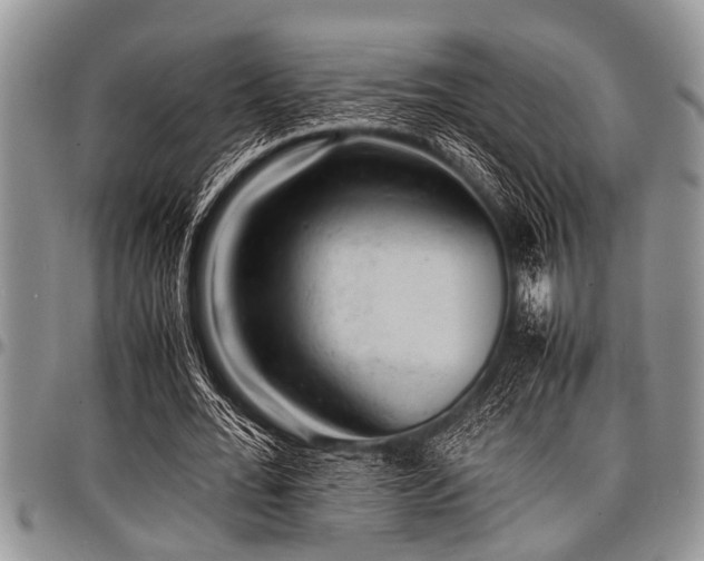X0000098160676200804171600