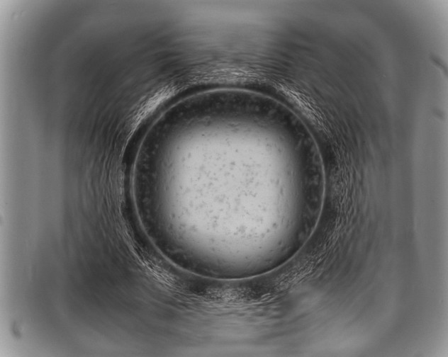 X0000098160679200804171600