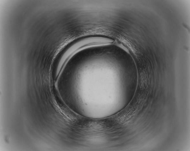 X0000098160680200804171600