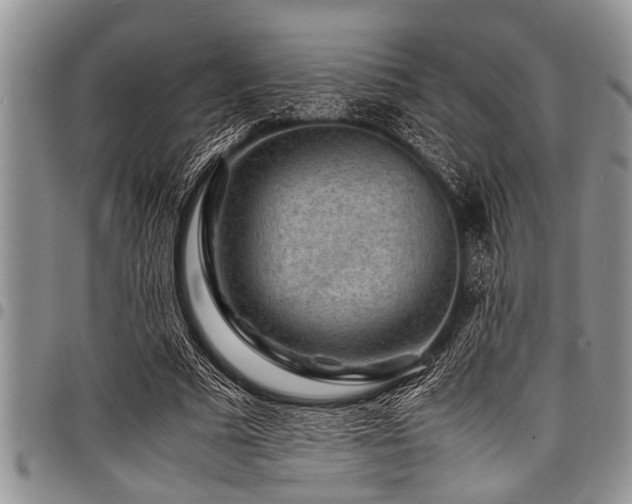 X0000098160681200804171600