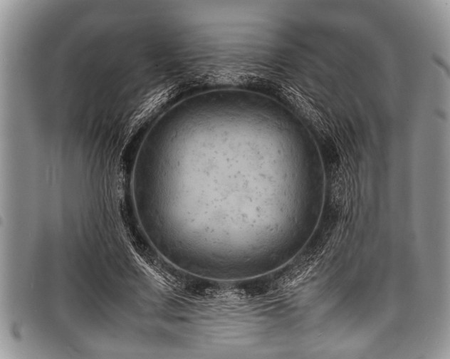 X0000098160683200804171600