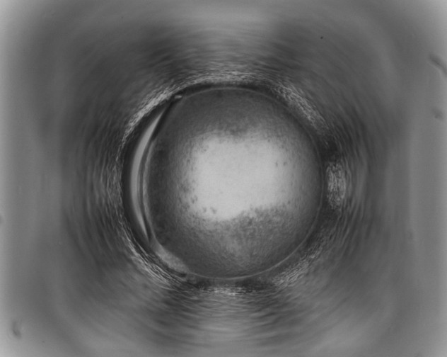 X0000098160684200804171600