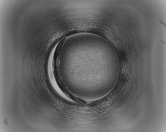X0000098160685200804171600