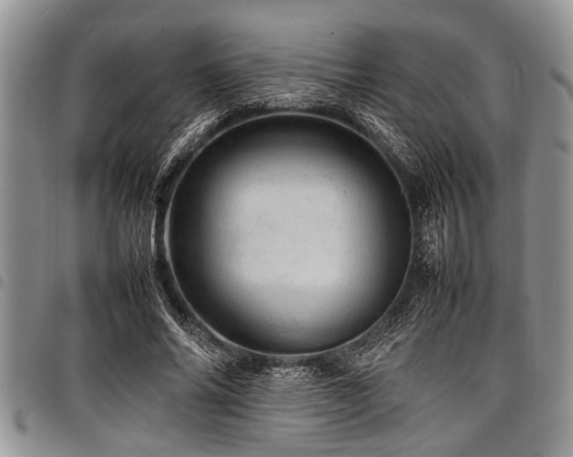 X0000098160686200804171600