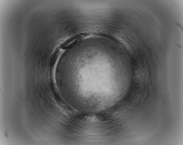 X0000098160688200804171600