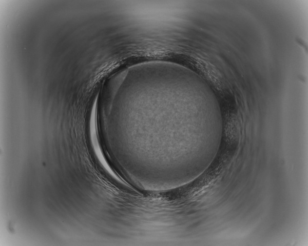X0000098160689200804171600