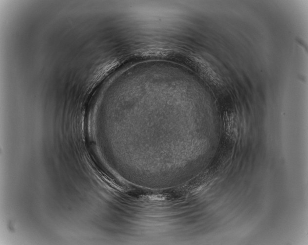 X0000098160692200804171600