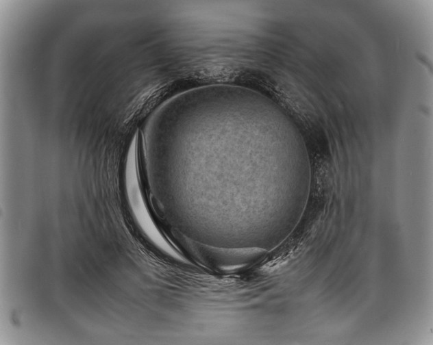 X0000098160693200804171600