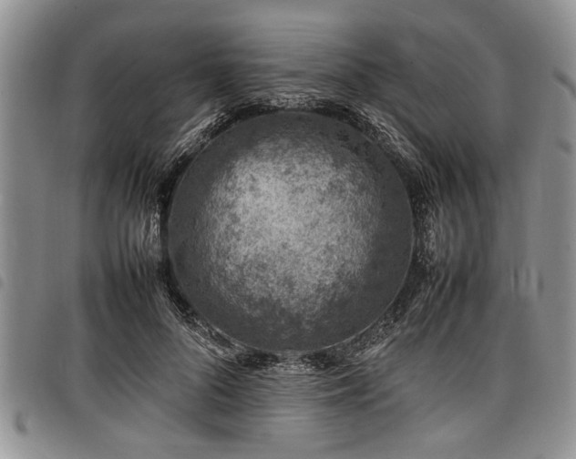 X0000098160696200804171559