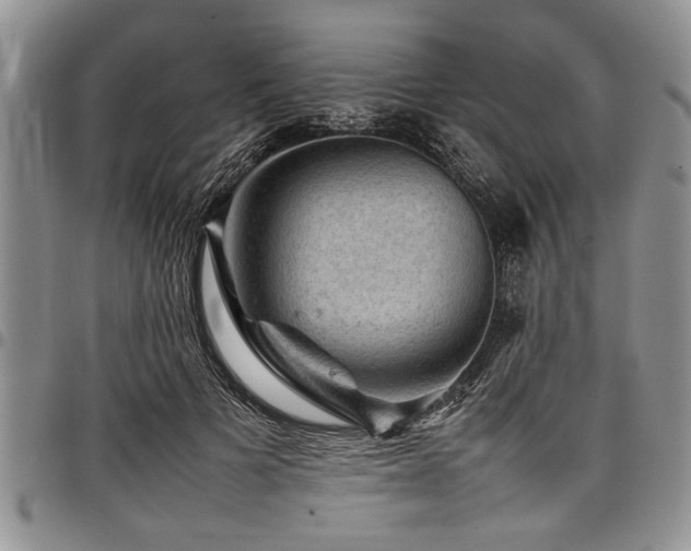 X0000098160697200804171559