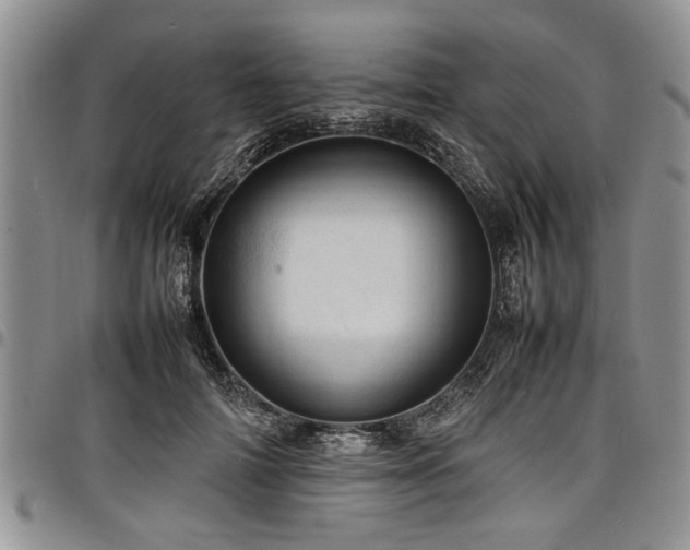 X0000098160698200804171559
