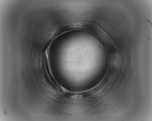 X0000098160700200804171559