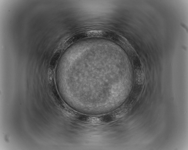 X0000098160701200804171559
