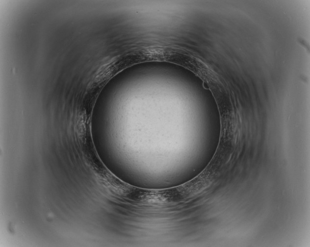 X0000098160702200804171559