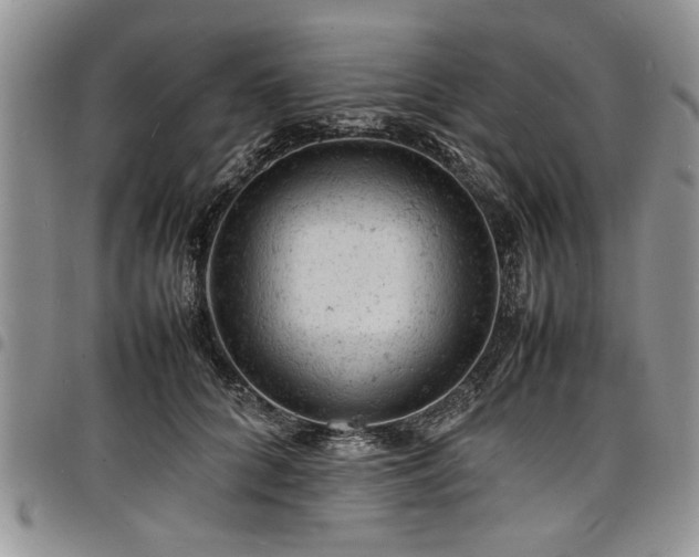 X0000098160704200804171559