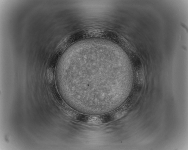 X0000098160705200804171559