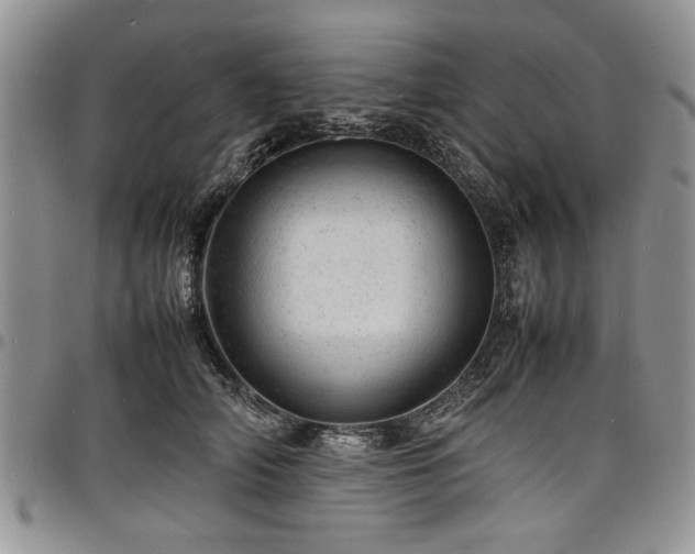 X0000098160706200804171559