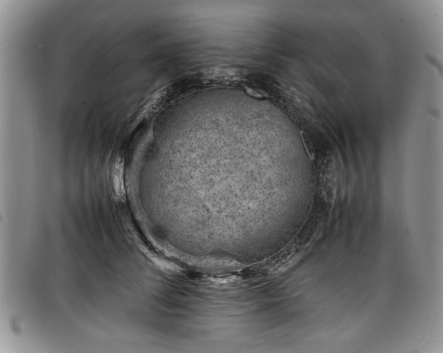 X0000098160708200804171559