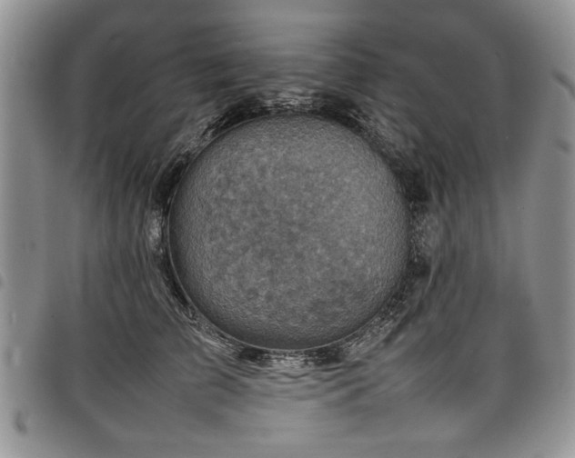 X0000098160709200804171559