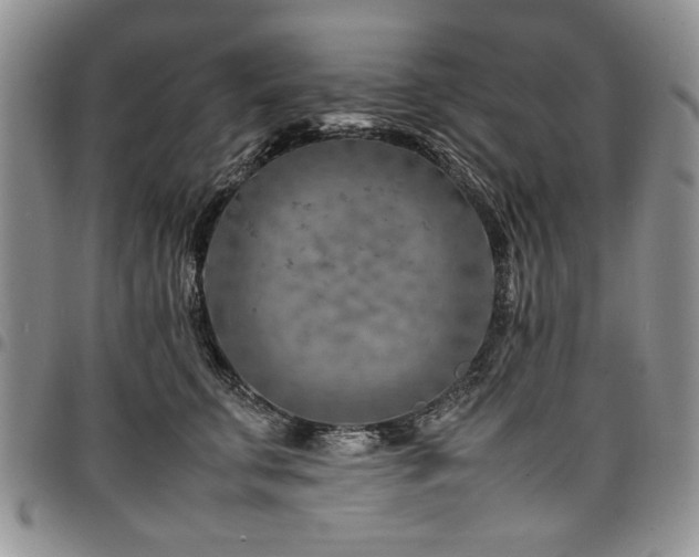 X0000098160711200804171559