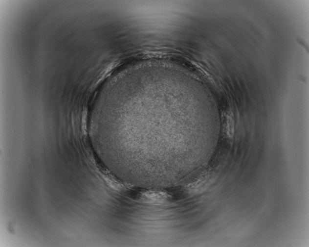 X0000098160712200804171559