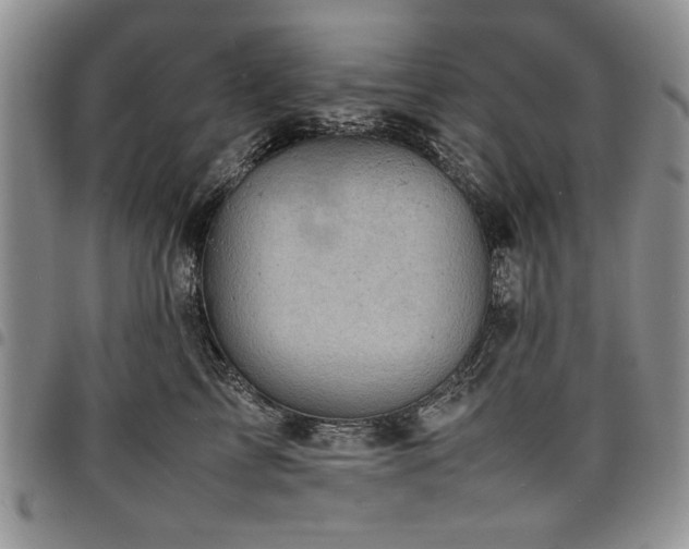 X0000098160713200804171559