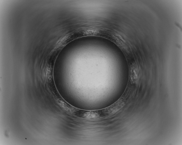 X0000098160714200804171559