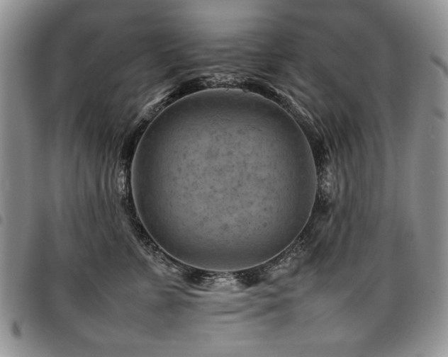 X0000098160715200804171559