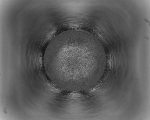 X0000098160716200804171559