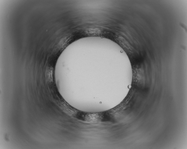 X0000098160717200804171559