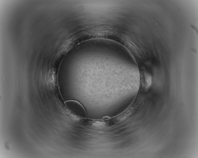 X0000098160718200804171559