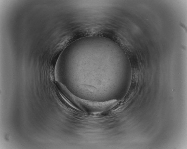 X0000098160719200804171559