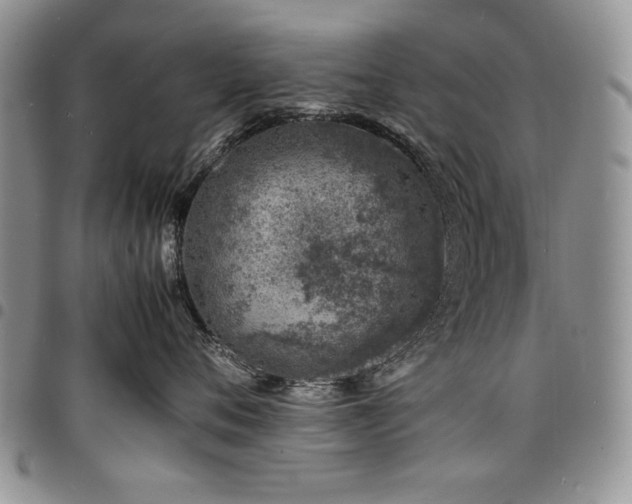 X0000098160720200804171559