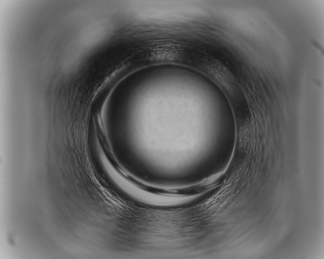X0000098160722200804171558