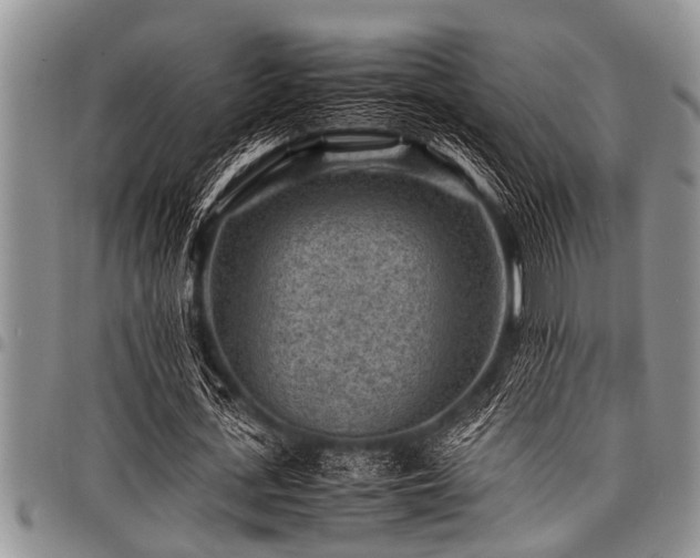 X0000098160723200804171558