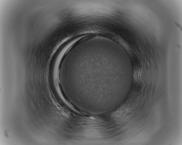 X0000098160724200804171558