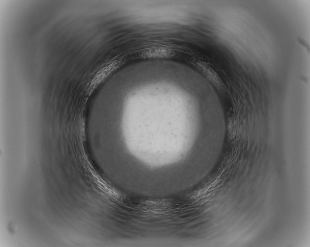 X0000098160725200804171558