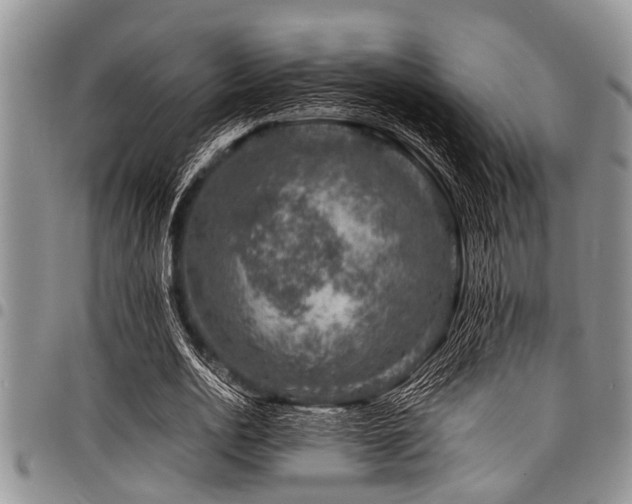X0000098160726200804171558
