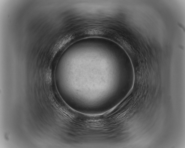 X0000098160727200804171558